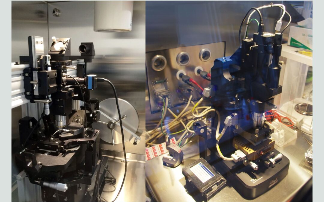 AFM – Microscope à Force Atomique