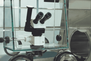 Binoculaires microscopes