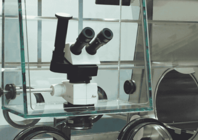 Binoculaires microscopes